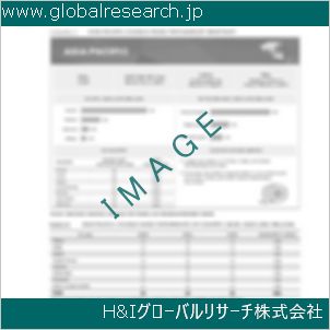 グローバルリサーチ調査資料のイメージ